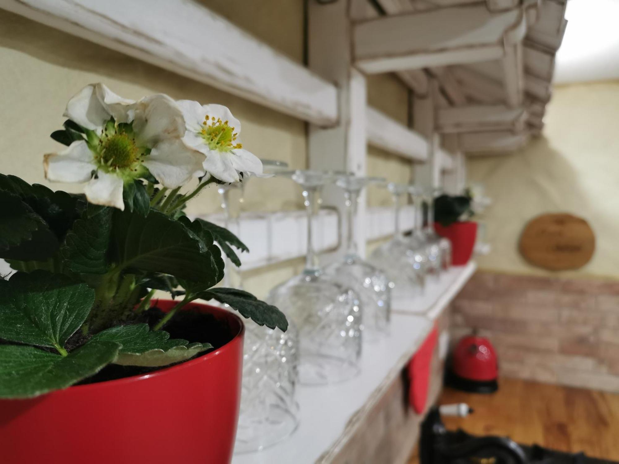 블레드 House Gabrijel With Four Seasons Outdoor Kitchen 빌라 외부 사진
