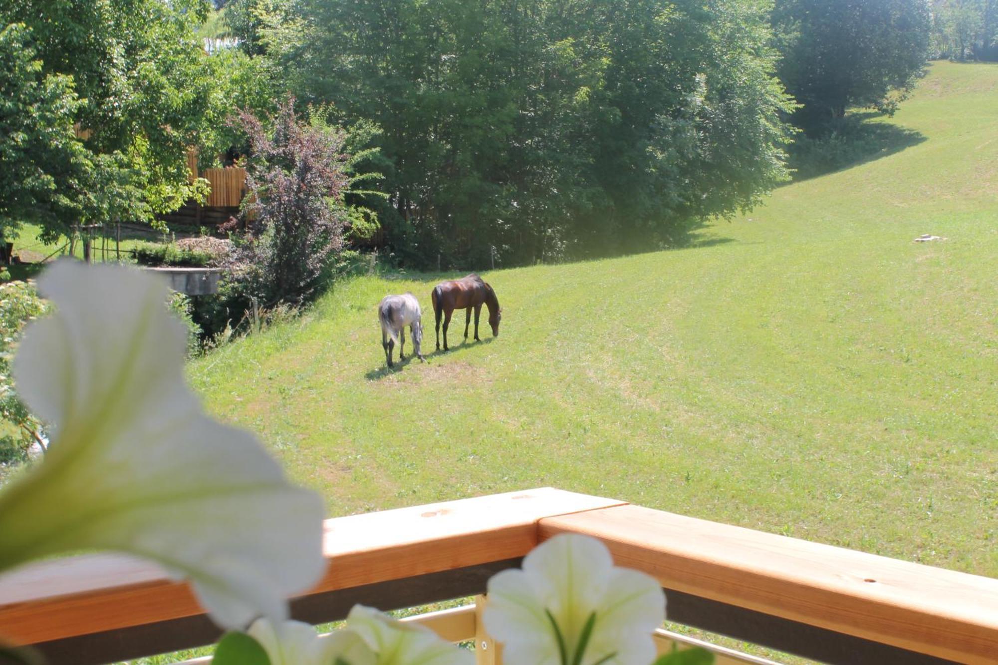 블레드 House Gabrijel With Four Seasons Outdoor Kitchen 빌라 외부 사진